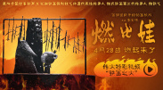 国产精品视频分类一区